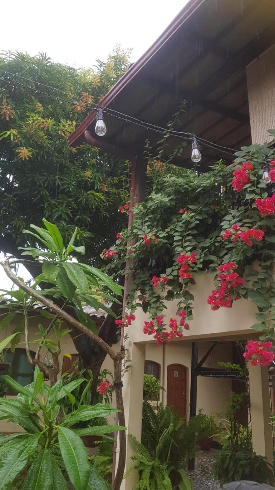 Casa Riverstone Leon Ngoại thất bức ảnh